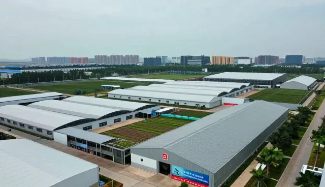特色农副产品礼盒的存储与保鲜技巧